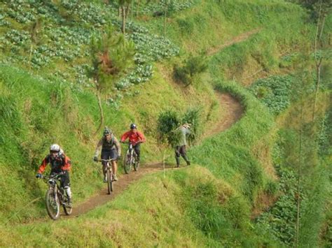 Trek Atau Rute Sepeda Di Jogja Bogor Bandung And Bali