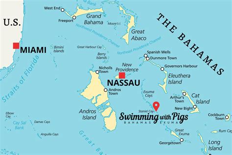 Where Is The Island With Pigs In The Exumas Bahamas