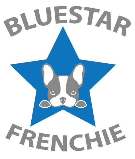 Five 5 Fun Facts About French Bulldogs Bluestar Frenchie French