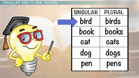 Singular & Plural Nouns: Lesson for Kids - Video & Lesson ...