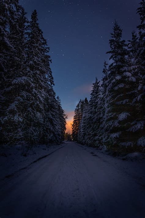 Road Trees Snow Winter Dusk Dark Hd Phone Wallpaper Peakpx