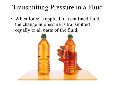 Force Pressure N 3 Principles