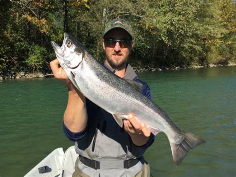 Skagit River Coho The Lunkers Guide