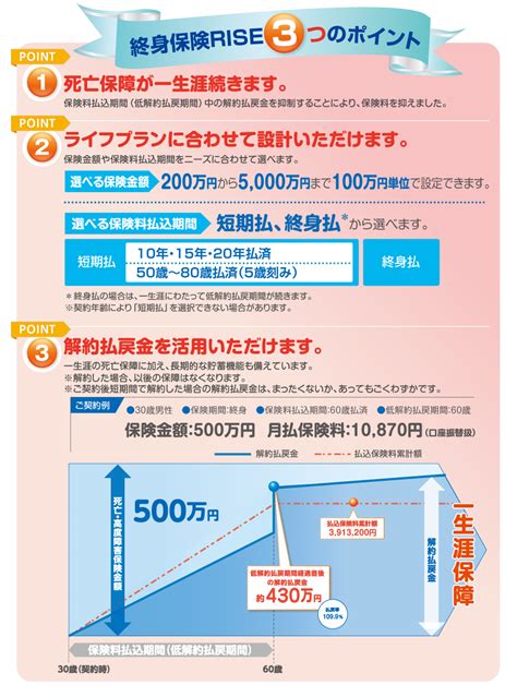 コラム 金融コンフィデンシャル 底流 金融最前線 日銀ウオッチ 経済教室 やさしい経済学 霞が関エックス線. 終身保険RISEライズ | オリックス生命 | 保険比較・一括資料 ...