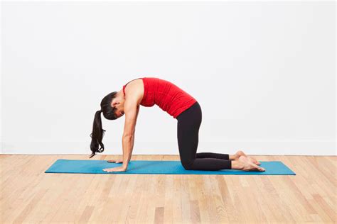 Show your fealty by posting them here. Essential Yoga Poses for Beginners