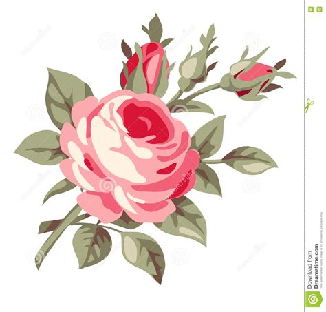 Download Vintage Decorative Rose. Vector Flowers Stock Vector - Illustration of branch, element: 77833595