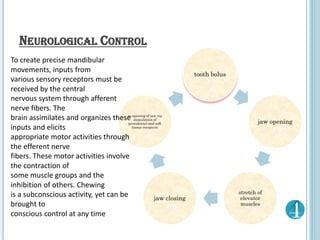 Muscles Of Mastication Ppt