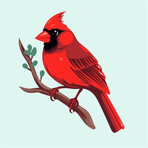 Cardinal Bird Images Free Download On Freepik