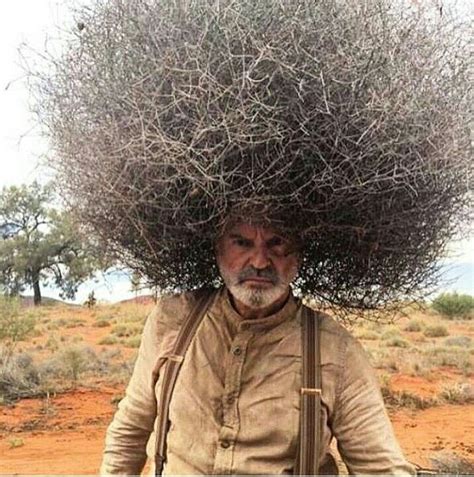 Bad Hair Day Funny Pictures Funny People Funny Images