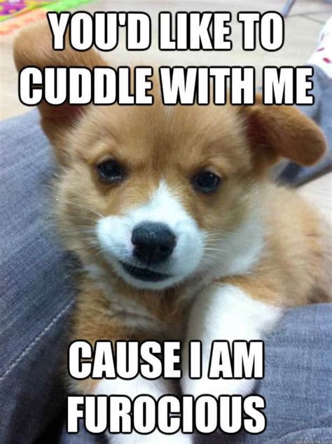 25 Cuddle Memes Sg Web