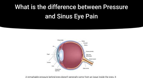 What Is The Difference Between Pressure And Sinus Eye Pain Iristech