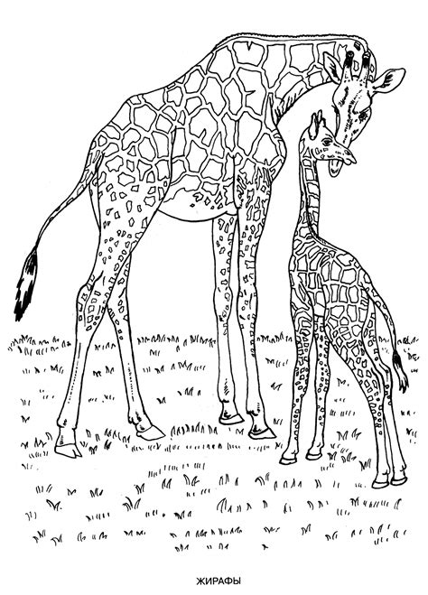 Wild Animals Coloring Pages For Kids To Print For Free Motherhood