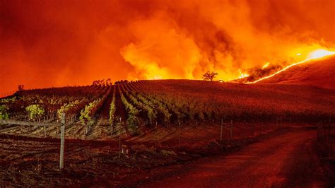 Wildfire Scorches Thousands Of Acres In Sonoma Wine Country