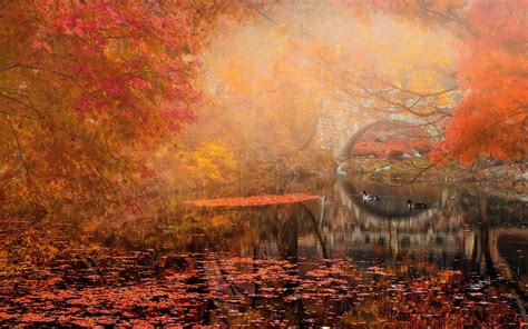 Autumn Bridge Landscape River Park Wallpapers Hd