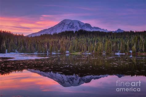 Sunset At Reflection Lake Mount Rainier National Park Photograph By