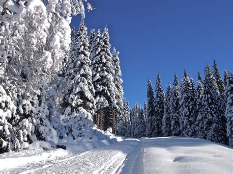 Nature Winter Landscape Snow Wallpaper 3617x2713 1104243 Wallpaperup