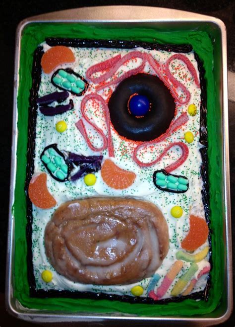 Edible Cell Project Plant Cell Project Cells Project Science