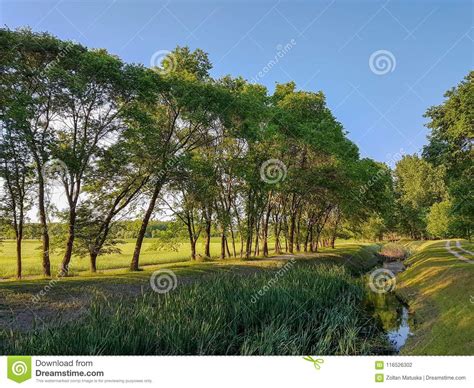 Path And Grass Stock Photo 62561616