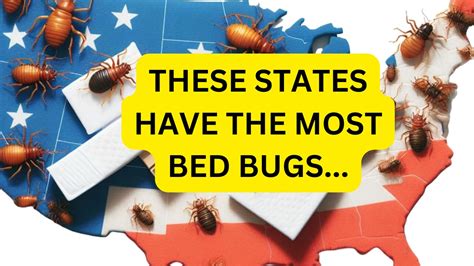 Which States Have The Most Bed Bugs