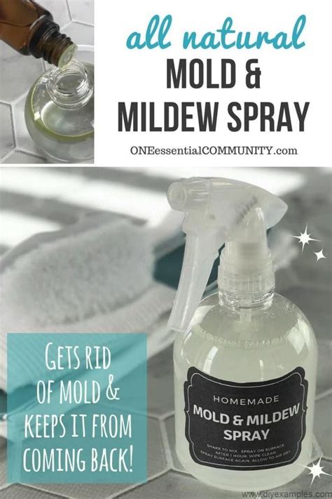 Anti Mold Mildew Spray Natural Cleaning Products