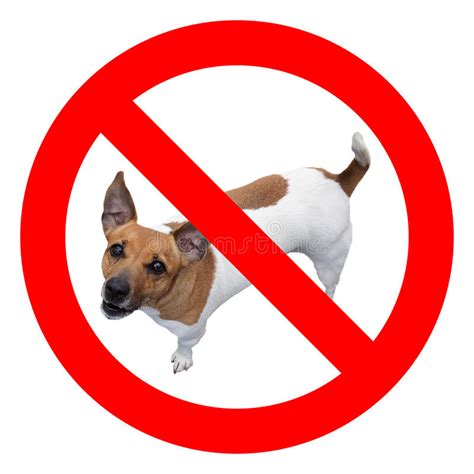 No Dogs Sign Stock Photo Image Of Animal Please Wooden 26746006