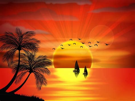 Sunset On Beach Sea Sunset Birds Palm Trees Vector Island Silhouette