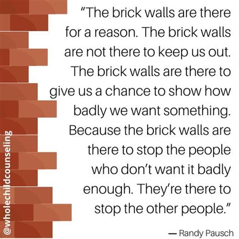 The Brick Walls Are There For A Reason Social Emotional