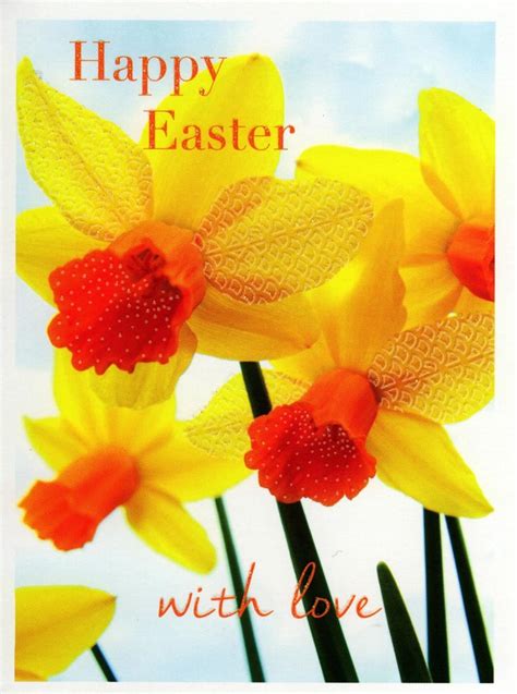 Pack Of 5 Daffodil Happy Easter Greetings Cards Cards Love Kates