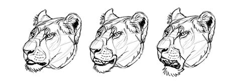 How To Draw Furries Aka Anthropomorphic Characters