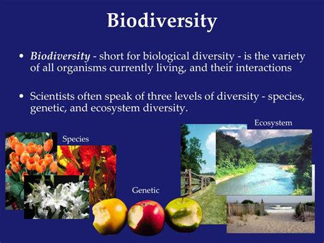 Ppt Biodiversity Powerpoint Presentation Free Download Id5174571