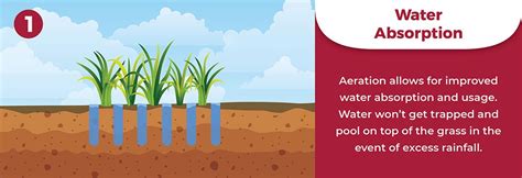We're also the company with the technical expertise, dedication and the depth of experience to take you successfully into the pest control future. How Lawn Aeration Works For You | Perennial Lawn Care