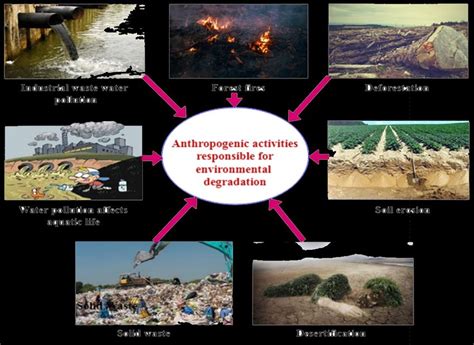 Environmental Degradation By Different Activities Download Scientific Diagram