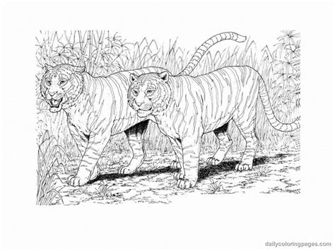 Realistic Coloring Pages Only Coloring Pages