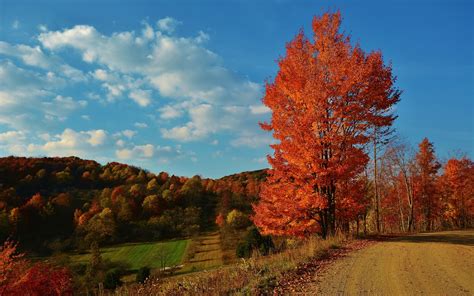 Beautiful Autumn Macbook Air Wallpaper Download Allmacwallpaper