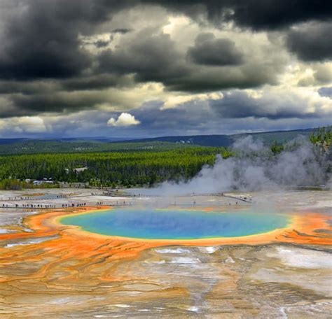 Are Dogs Allowed At Yellowstone National Park