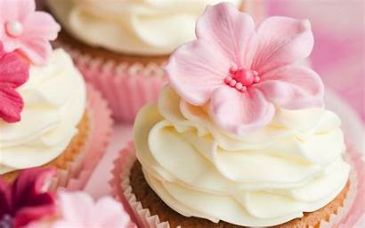 Cupcakes Cupcake Wallpapers Cake Cup Pink Backgrounds