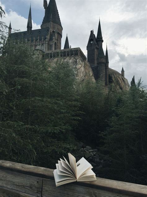 Arte Do Harry Potter Harry Potter Pictures Harry Potter Universal
