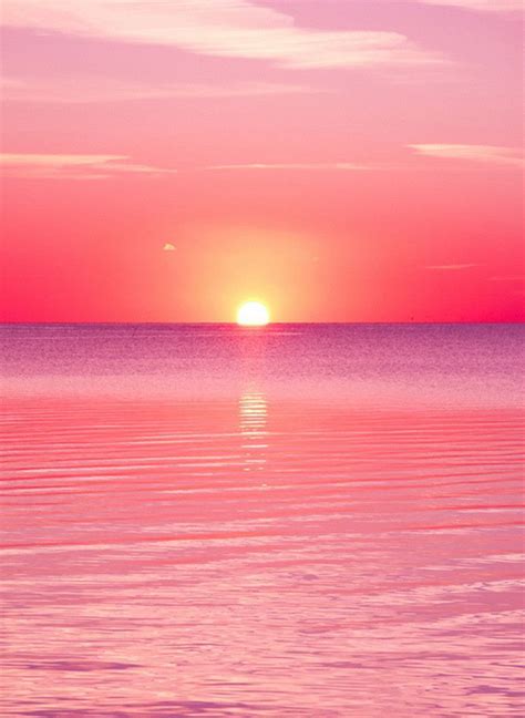 Image Result For Pink Sunset Sunset Iphone Wallpaper Sunset