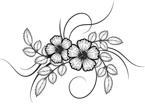 Flowers Drawing Illustrations Png File Flower Line Drawings Flower