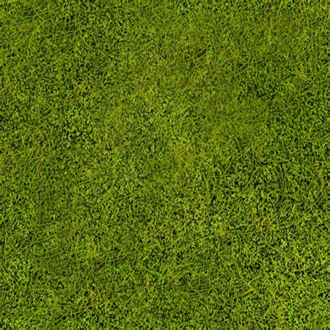Grass Texture By Lostsoul08 On Deviantart