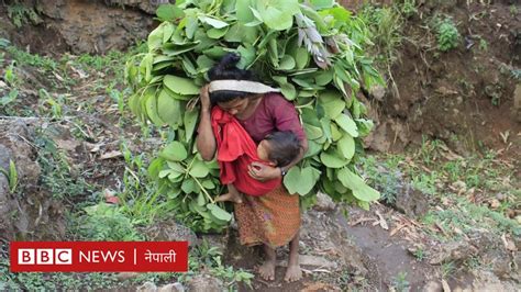 बालविवाह ख्यालख्यालमै जोडी बाँध्छन् चेपाङ बालबालिका Bbc News नेपाली