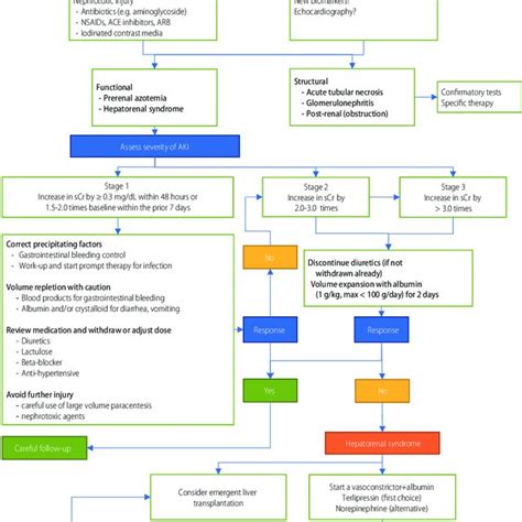 Treatment Algorithm For Acute Kidney Injury Nsaids Non Steroidal