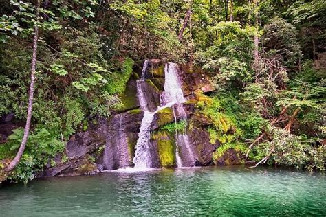 Looking for a pet friendly campground in south carolina? RV Camping in South Carolina | 2019 RV Campgrounds | SC ...