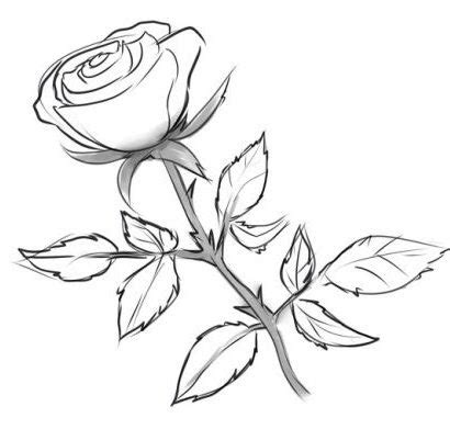 700 x 449 jpeg 42 кб. Dessin Facile Fleur Etape - Dessin Facile
