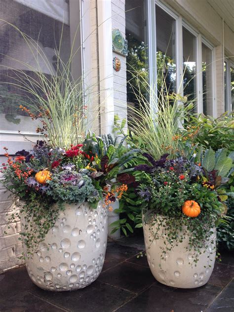 20 Best Plants For Front Door Planters
