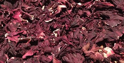 We did not find results for: Robust International | Dried Hibiscus Flowers