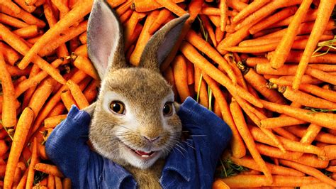 Peter Rabbit 1920x1080 Wallpapers Full Hd Backgrounds
