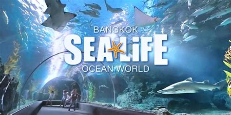 บัตรเข้า Sealife Ocean World และ Madame Tussauds สยามพารากอน Kkday