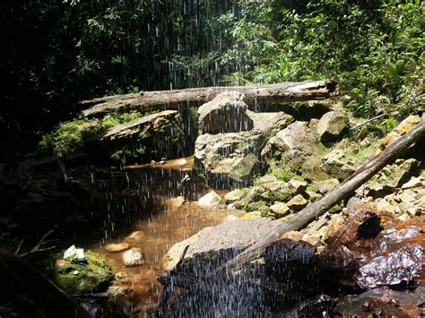 Na tweetanna is déanaí ó hutan simpan (@simpanhutan). 20 Tempat Menarik Di Brunei. Bangunan Megah Mercu Tanda ...