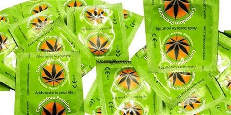 everything you need to know about weed condoms herb